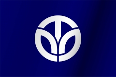 Bandera de Fukui
