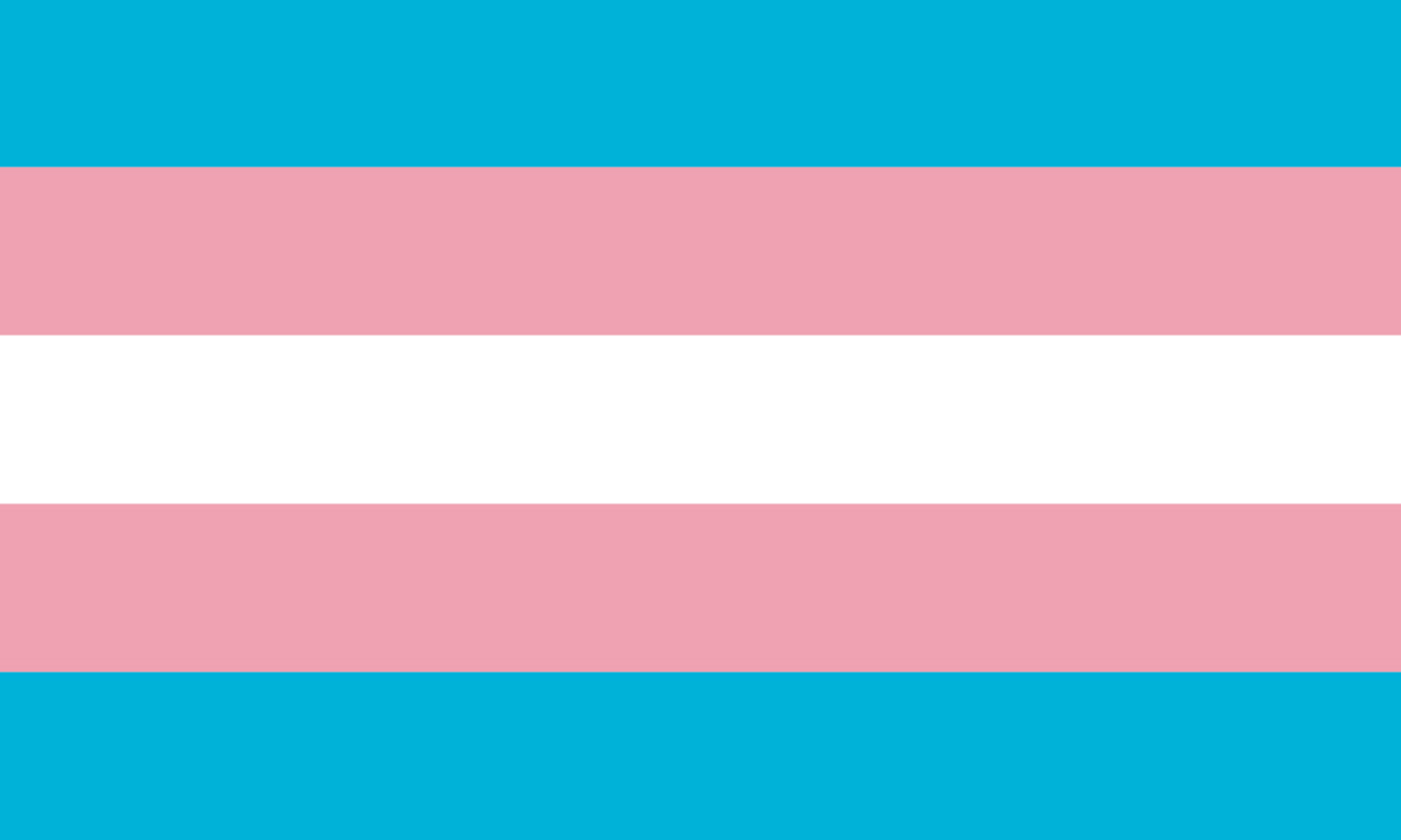 bandera tansexual