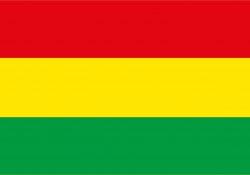 Bandera Bolivia (1851 - actualidad)