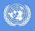 Bandera de Bandera ONU