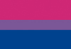 Bandera de Bisexual