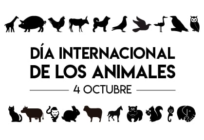 Bandera de Dia Internacional de los Animales