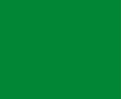 Bandera de Verde