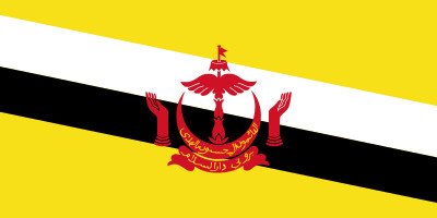 Bandera de BrunÃ©i
