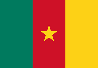 Bandera de CamerÃºn
