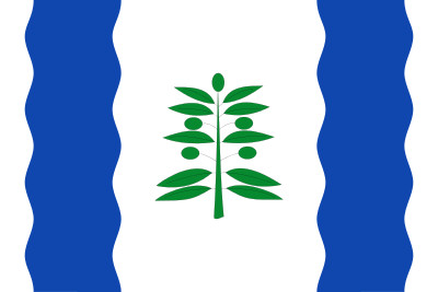 Bandera de Cinco Olivas